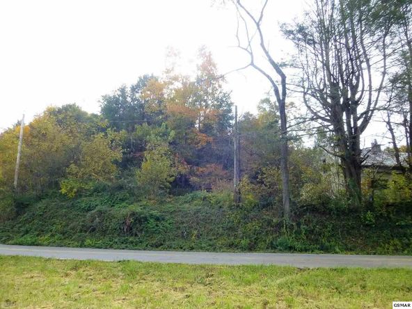 572 Proffitt Rd, Gatlinburg, TN 37738
